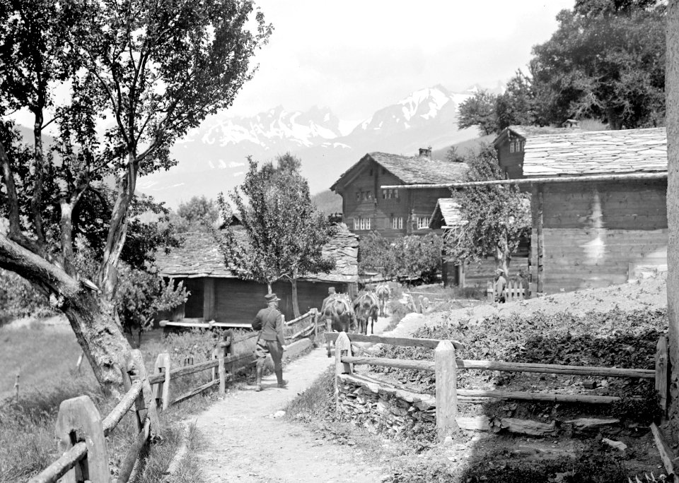 Durchmarsch der Maultierkolonne durch ein Walliser Dorf - CH-BAR - 3239704