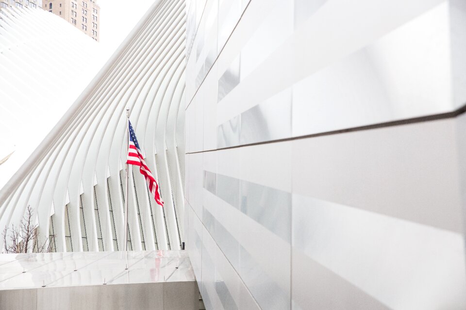 Structure establishment white