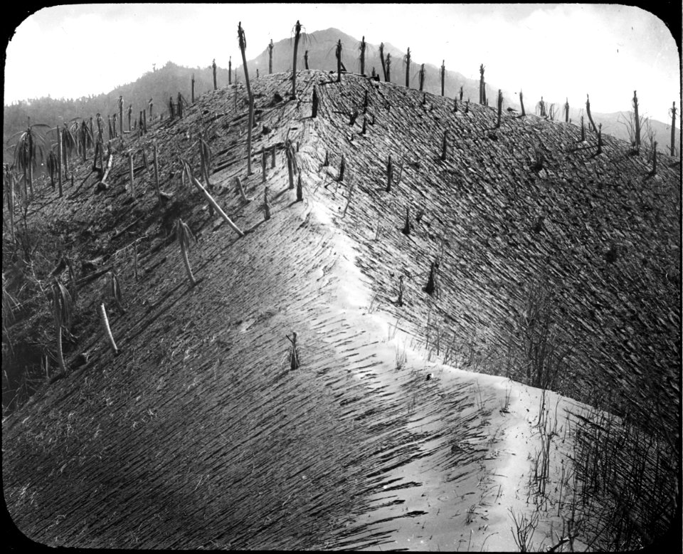 Dust covered ridge of Bunkers Hill, Richmond estate YORYM-TA0006