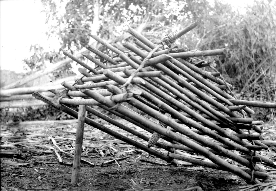 Duvfälla hos chiriguano-mestizer nära Tartagalskogen. Nära gränsen till Bolivia - SMVK - 004920