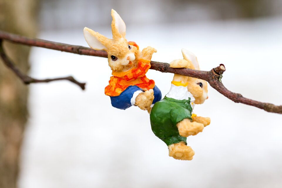 Easter bunny background Free photos