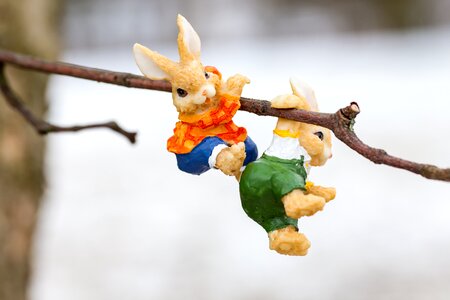 Easter bunny background Free photos