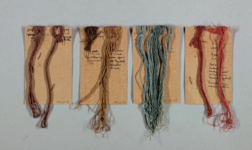 Dye Record Card (USA), 1909–10 (CH 18805577)