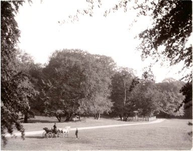 Dyrehaven park, Copenhagen, Denmark, Carl Curman