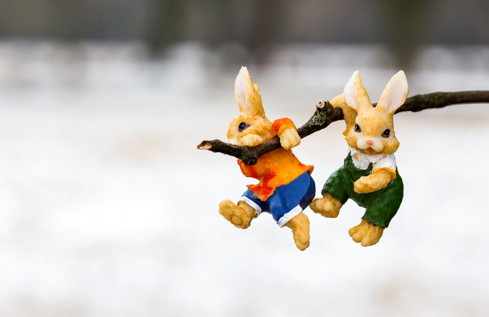 Rabbit easter sweet