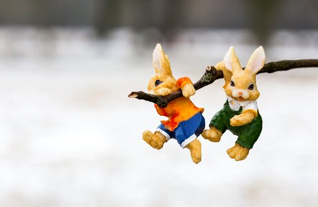 Rabbit easter sweet