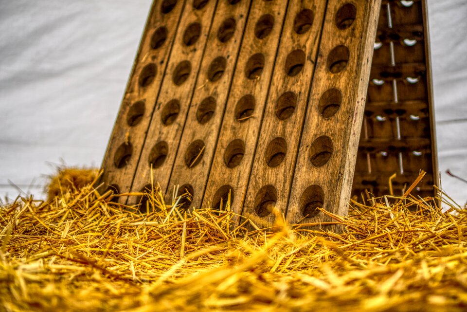 Decoration marquee shelf photo