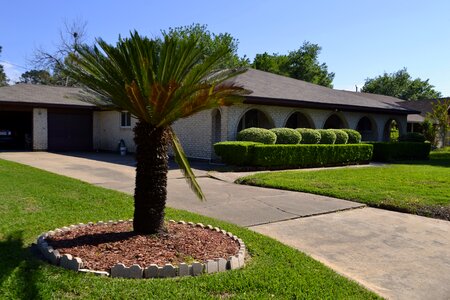 House outdoors garden
