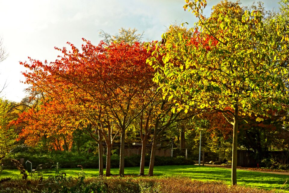 Autumn colors autumn fall