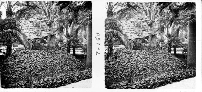 Dòlmen als jardins de Martí-Codolar