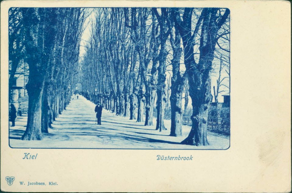 Düsternbrooker Allee am Schlossgarten (Kiel 82.852)