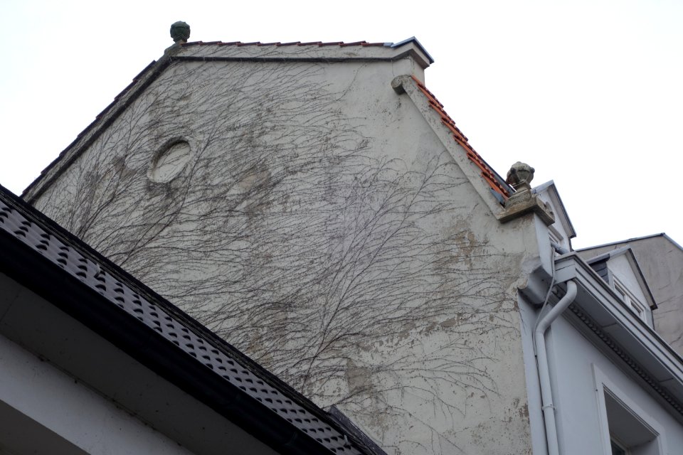 Düsseldorf, Ursulinengasse 3, 2016 (4)