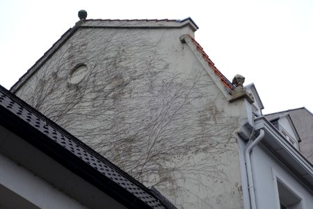 Düsseldorf, Ursulinengasse 3, 2016 (4)