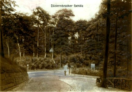 Düsternbrooker Gehölz (Kiel 55.596)