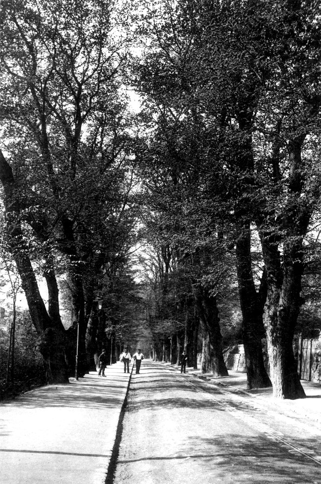 Düsternbrooker Allee (später Düsternbrooker Weg) (Kiel 73.853)