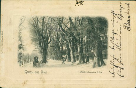 Düsternbrooker Allee (später Düsternbrooker Weg) (Kiel 82.846)
