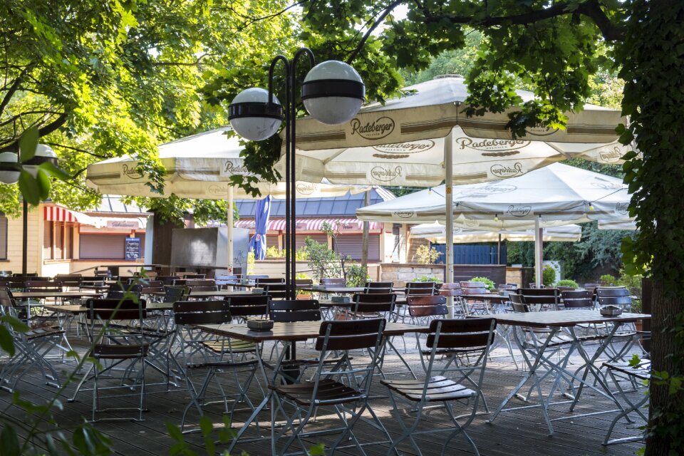 Chairs furniture gastronomy