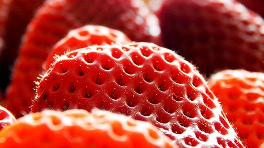 Food berry red