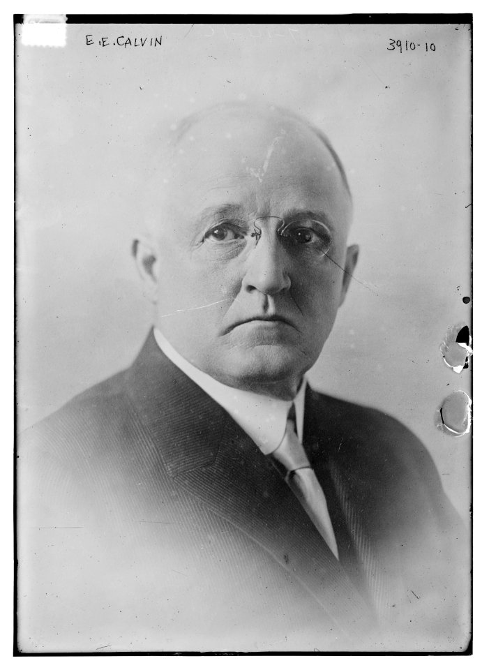 E.E. Calvin LCCN2014702142