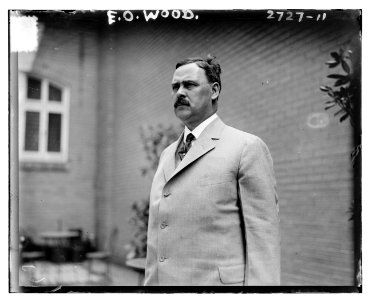 E.O. Wood LCCN2014693271