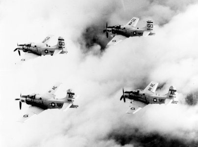EA-1F Skyraiders of VAW-33 in flight in the mid-1960s