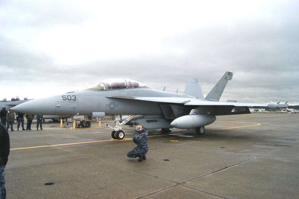EA-18G Growler of VAQ-137 in 2013
