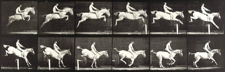 Eadweard Muybridge - Jumping horse