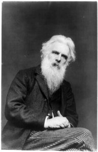 Eadweard Muybridge portrait LCCN2001703931