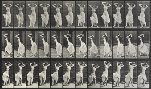 Eadweard Muybridge Animal Locomotion Plate 190