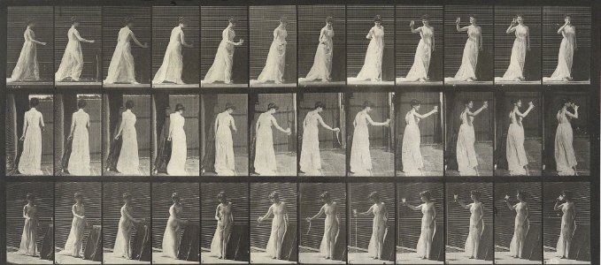 Eadweard Muybridge Locomotion 462 1887