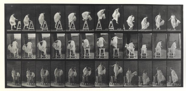 Eadweard Muybridge Animal Locomotion Plate 172