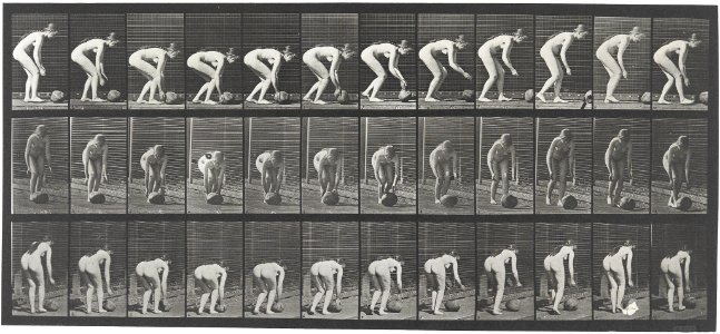 Eadweard Muybridge Locomotion 442 1887