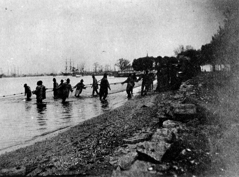 Eakins H32