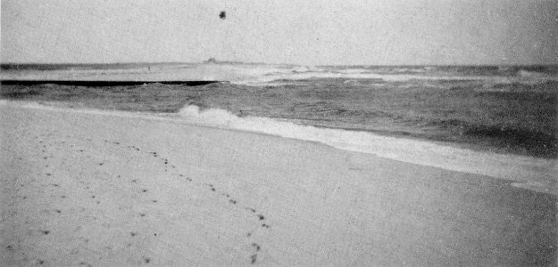 Eakins H08