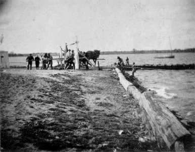 Eakins H31