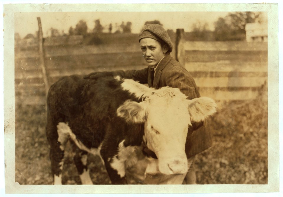 Earl Kidd, one of the 4 H Club boys with his registered calf. Hillsboro, Pocahontas Co. W. Va. LOC nclc.04431