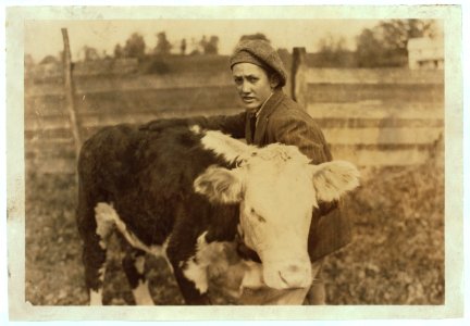 Earl Kidd, one of the 4 H Club boys with his registered calf. Hillsboro, Pocahontas Co. W. Va. LOC nclc.04431