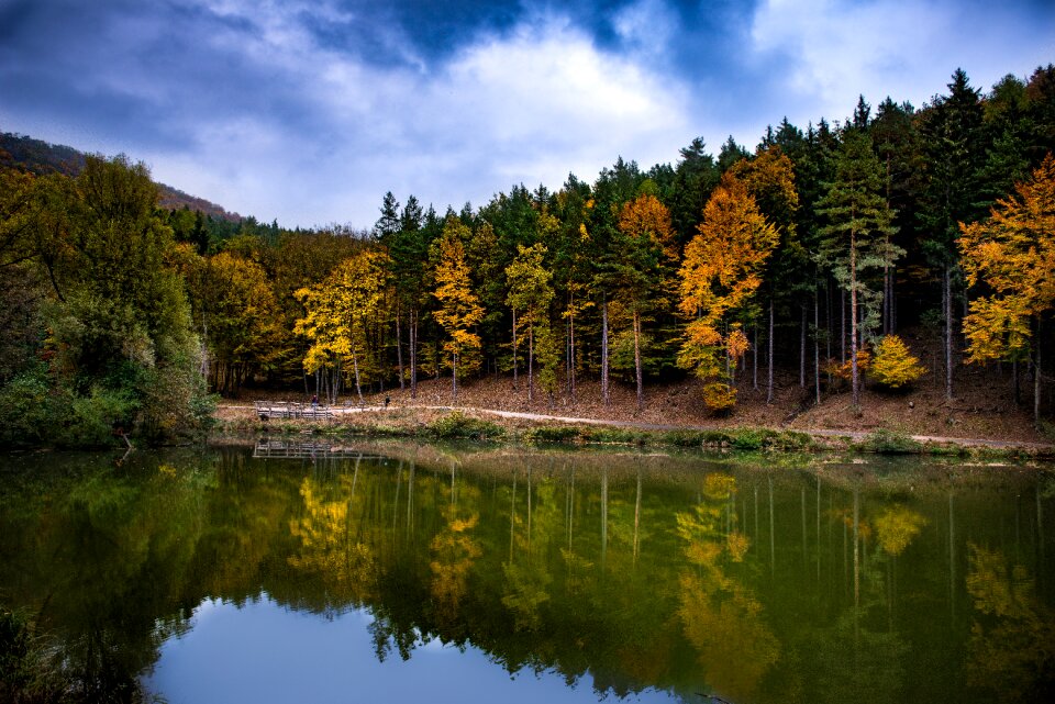 Nature autumn mood forest