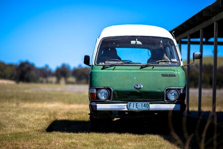 Day green grass