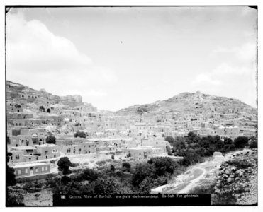 East of Jordan and the Dead Sea. General view of Es-Salt (Ramoth-Gilead) LOC matpc.06974