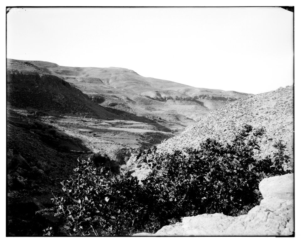 East of Jordan and the Dead Sea. Mount Nebo from 'Ayoun Mousa LOC matpc.06958