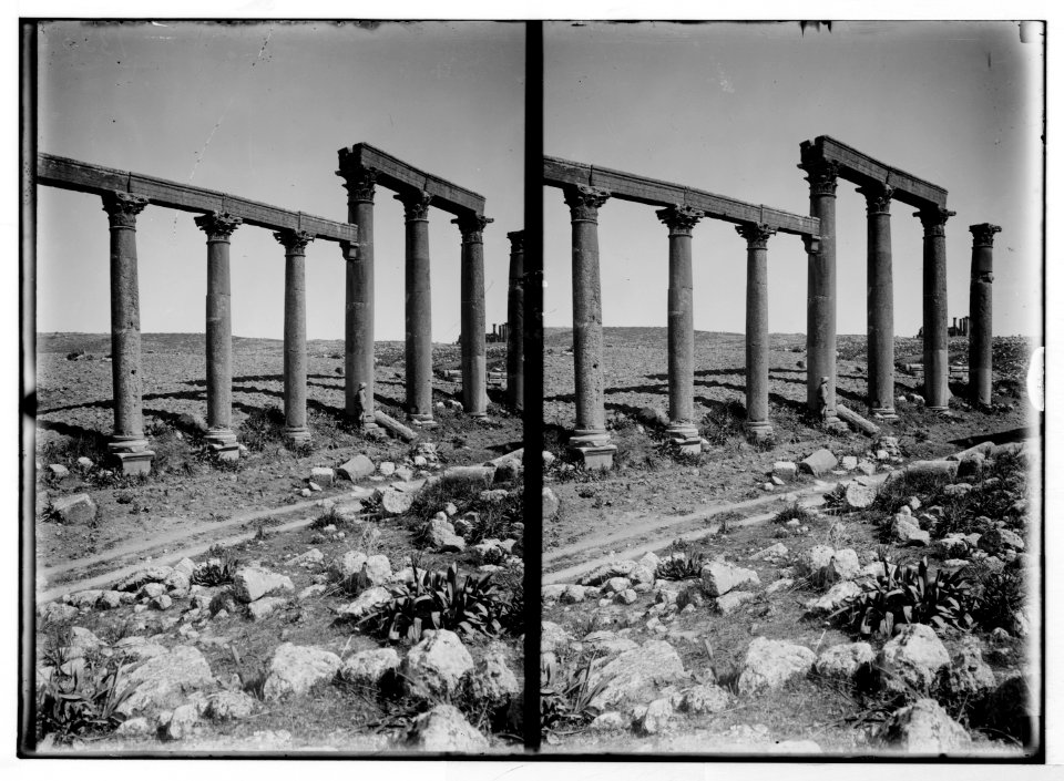 East of the Jordan and Dead Sea. Columns of temple of the grand colonnade (Jerash) LOC matpc.05350