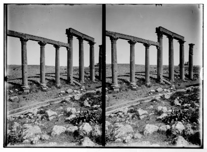 East of the Jordan and Dead Sea. Columns of temple of the grand colonnade (Jerash) LOC matpc.05350