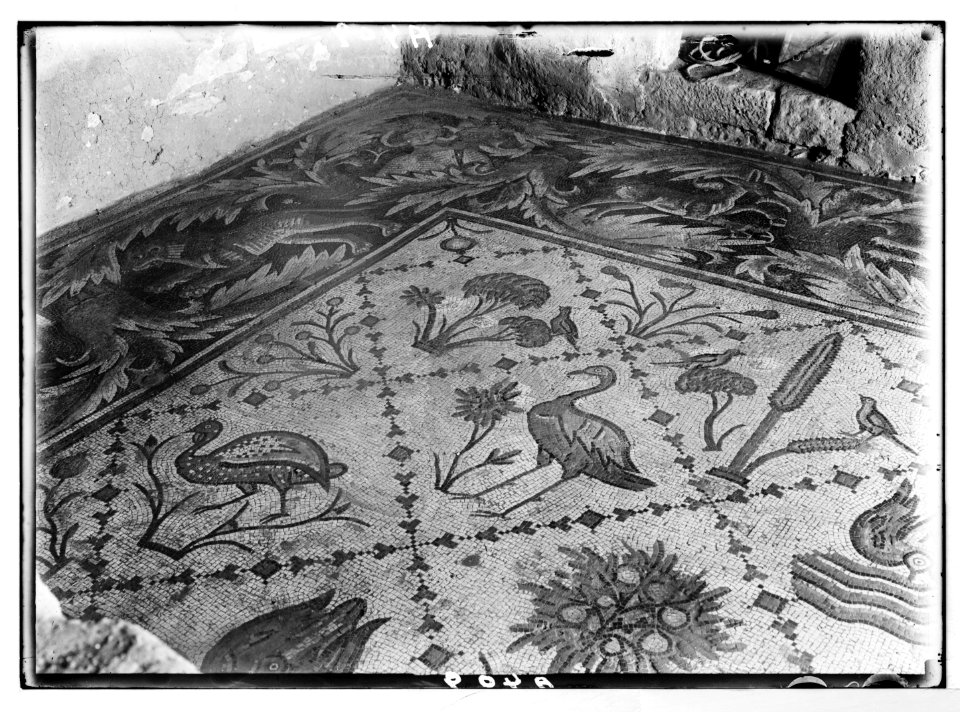 East of the Jordan and Dead Sea. Mosaic floor in house of Sunaa, section 1, Madeba LOC matpc.05331