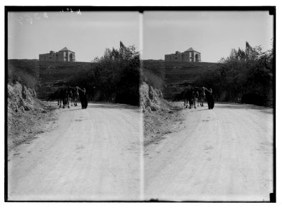 East of the Jordan and Dead Sea. Palace of the emir, Amman LOC matpc.05759