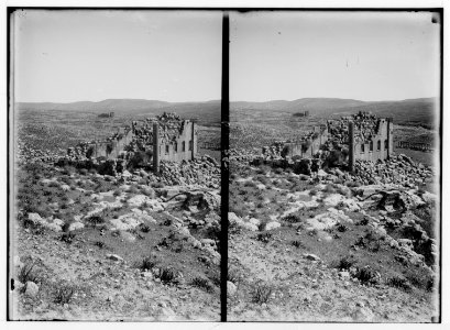 East of the Jordan and Dead Sea. The temple of Jerash LOC matpc.01725