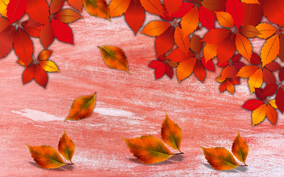 Autumn leaves falling leaves