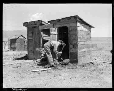 Geno Tarufelli, miner, breaks up coal for use in his stove. Calumet Fuel Company, Delcarbon ^2 Mine, Delcarbon... - NARA - 540395 photo