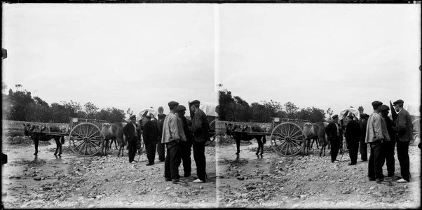 Gent , cavalls i tartanes per la fira de Sant Isidre als afores de Cardedeu (AFCEC BORDAS D 4094)