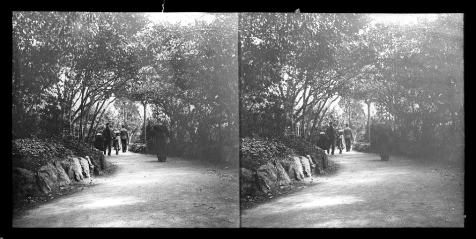 Gent caminant en un camí del Parc de la Ciutadella